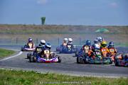 DSC_ (1311)